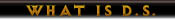 What is Dungeon Siege?